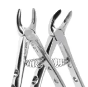 DUS162-Forcep-English-Infantil&#8212;Atraumatico