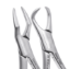 DUS16-FORCEP-AMERICAN-PORTADA2