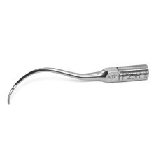 NSK0281-Punta-Varios-Perio-NSK-P25R