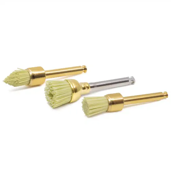 NTI200 Cepillos BrushGloss Portada