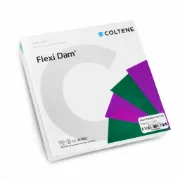 flexi-dam