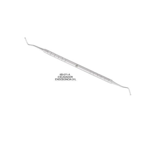 6B071-Excabador-Para-Endodoncia-31L