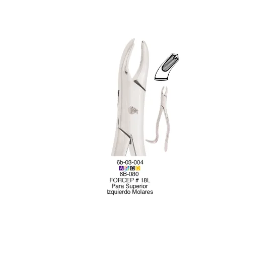 6B080-FORCEP-ADULTO-18L