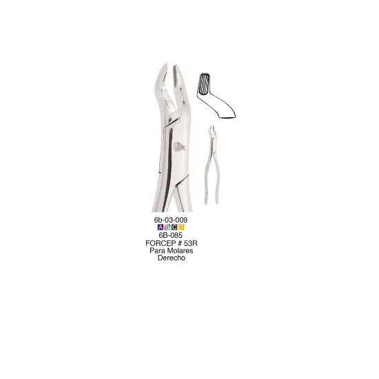 6B085-FORCEP-ADULTO-53R