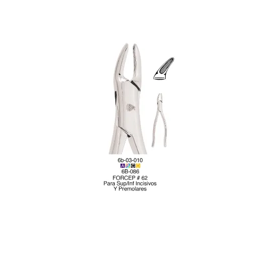 6B086-FORCEP-ADULTO-62