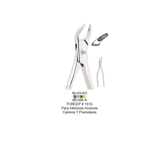 6B095-A-FORCEP-ADULTO-151-S