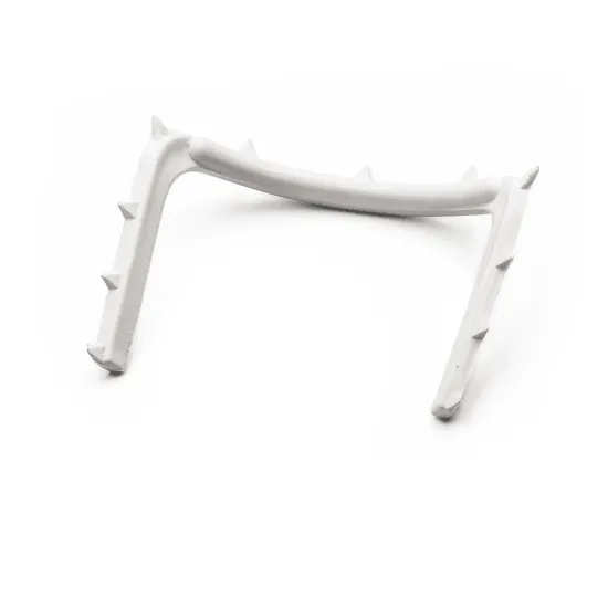 INAIAY6-ARCO-YOUNG-ANATOMICO1