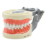 GNET200G-TIPODONTO-200G-ENCIA-SUAVE-MET-1