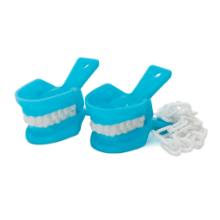 Caimán-de-Tipodonto&#8211;celeste