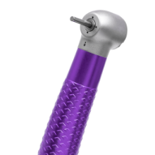 COXPAMO-PIEZA-DE-ALTA-COXO-MORADO