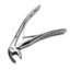6B335-ESTUCHES-FORCEPS-INGLES-INFANTIL-566_1_747dac54-734e-4856-b43b-0cd7a42c67ee