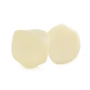 NUS10620-CORONA-ZIRCONIA-CANINOS