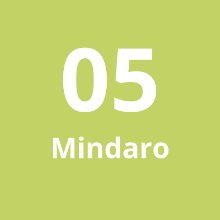 Imagen de Cadena Larga #5 Mindaro