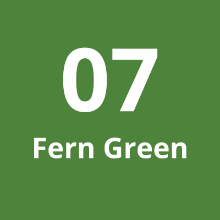 Imagen de Cadena Larga #7 Fern Green