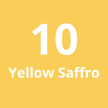 Imagen de Cadena Larga #10 Yellow Saffron