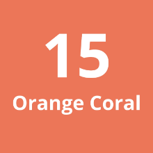Imagen de Cadena Larga #15 Orange Coral