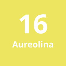 Imagen de Cadena Larga #16 Aureolina