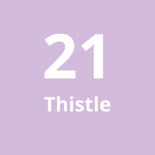 Imagen de Cadena Larga #21 Thistle