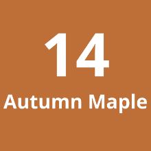 Imagen de Cadena Corta #14 Autumn Maple