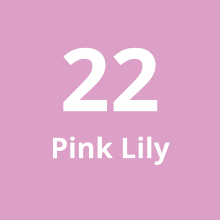 Imagen de Cadena Corta #22 Pink Lily
