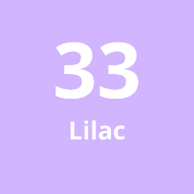 Imagen de Cadena Corta #33 Lilac