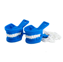 Imagen de Caiman Tipodonto AZUL REY