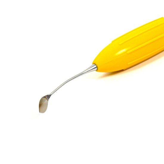 Imagen de Arte Solo Anterior ErgoMax