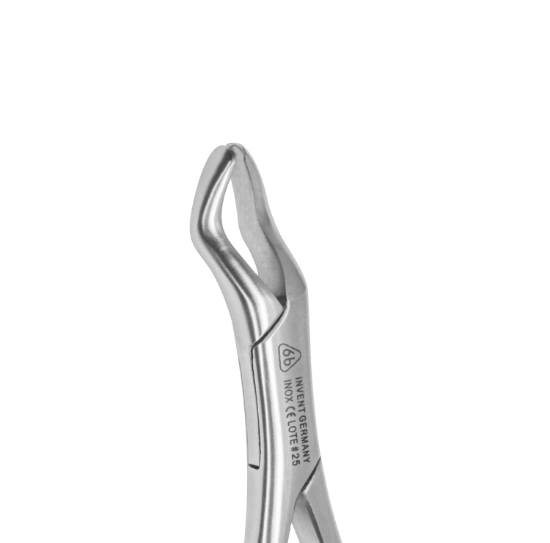 Imagen de Forceps Adulto 10s